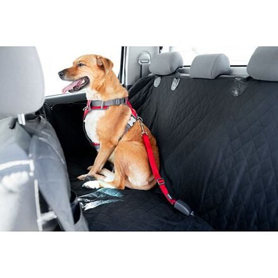 Red Dingo Bezpečnostní pás 2,5cm x 50-74cm