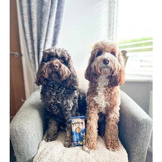 Soopa Pets Dentální tyčinky Soopa s jablkem a borůvkou 100 g