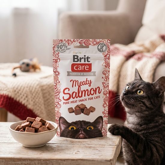 Brit Care Cat Masitý Pamlsek s Lososem 50g