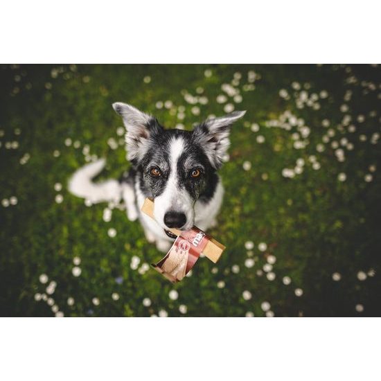 Marp Holistic Horská tyčinka L (70-79g)