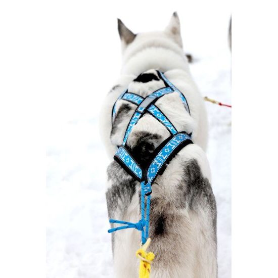 ManMat postroj SLED