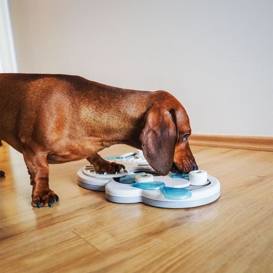 Nina Ottosson Pamlskový hlavolam