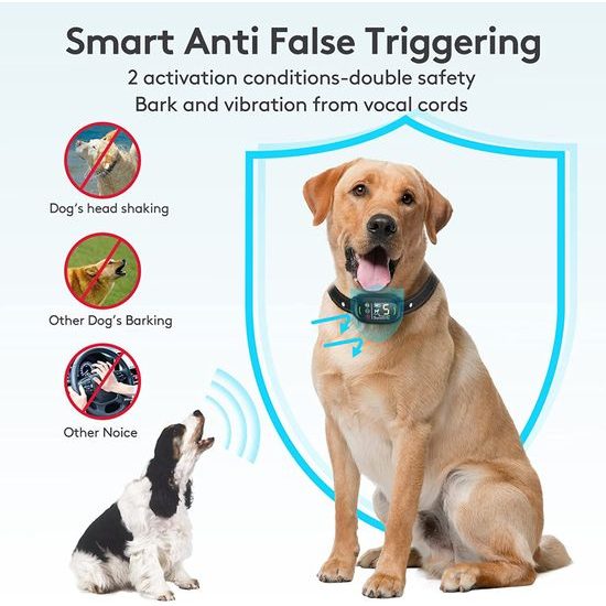 Reedog Protištěkací obojek S1