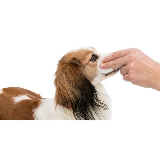 Trixie Oční péče jednorázové pečující polštářky 100ks