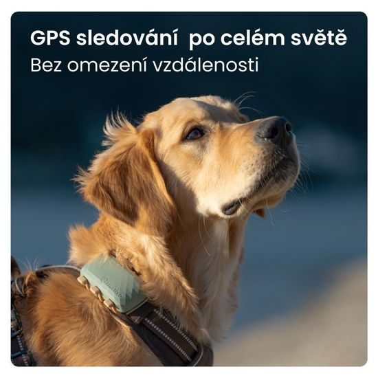 Tractive GPS DOG XL sledování polohy a aktivity pro psy
