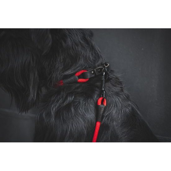 Aminela Obojek lano s kůží černé kování červená