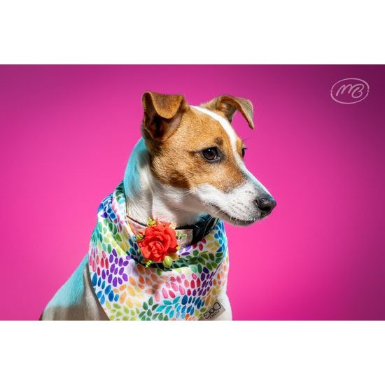 FUNKY DOG Oboustranný dúhový šátek pro psa