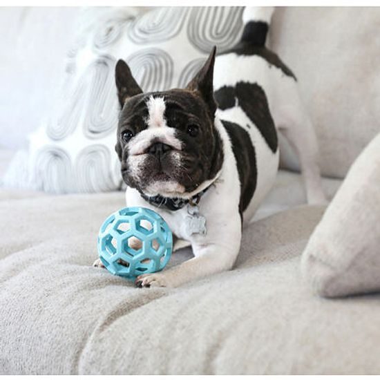 JW Pet JW Hol-EE Děrovaný míč Trend-ee Large Blue