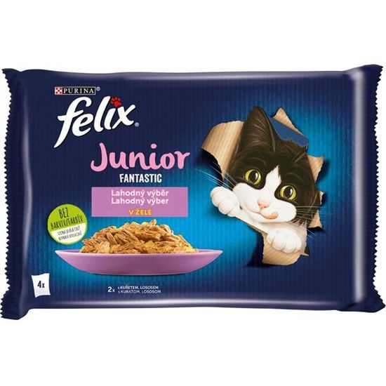 Felix Cat kapsička Fantastic Multipack Junior v želé 4x85 g