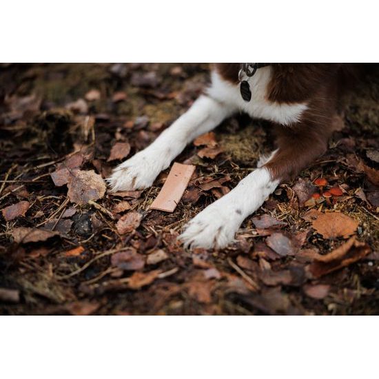 Løype Předměty na stopy Snoops