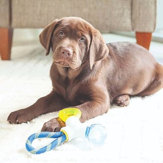 JW Pet JW Hračka pro štěňata 3 v 1 Puppy Connects