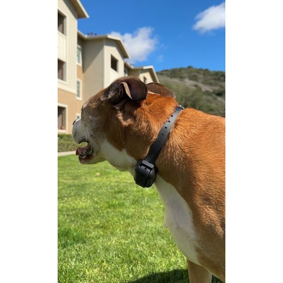 Patpet Výcvikový obojek a bezdrátový ohradník F900 PLUS