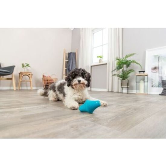 Trixie Snack Spinner hračka na pamlsky 12 cm přírodní guma petrolejová