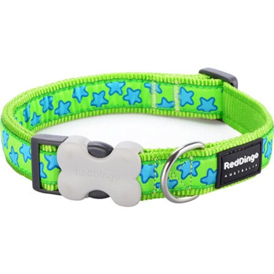 Red Dingo Obojek 2,5cm x 41-63cm