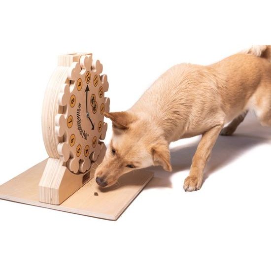 My Intelligent Pets Dřevěný hlavolam Clock