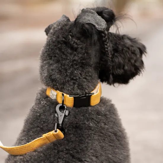 FUNKY DOG Konopné vodítko pro psa 1,7 m hořcicové