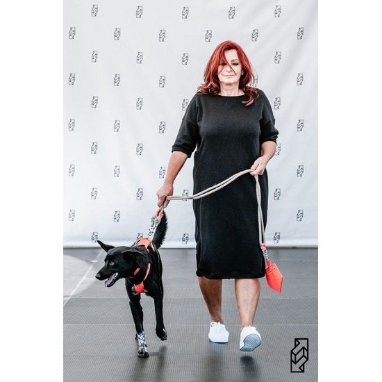 FUNKY DOG Červený pamlskovník Piňamka