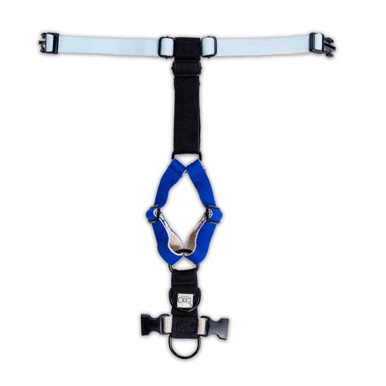 FUNKY DOG Konopný tmavě modrý obojek pro psa 2,5 cm