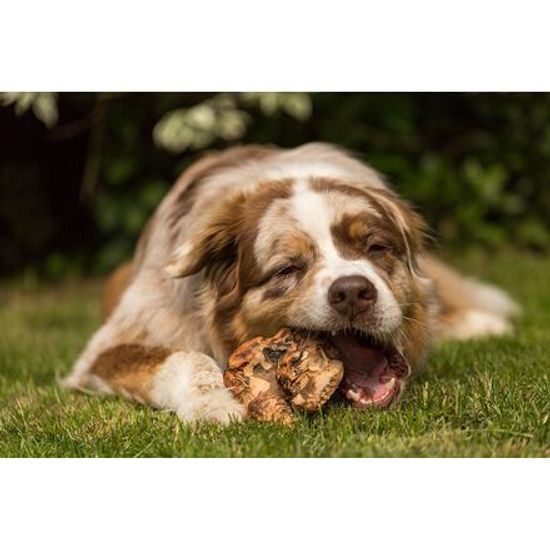 Chewies Vřesové kořeny Chewies na žvýkání S