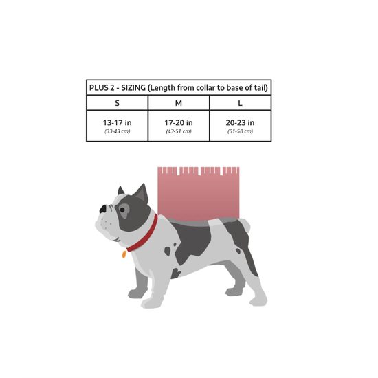 K9 sports sack Plus 2 batoh pro psa do 18 kg