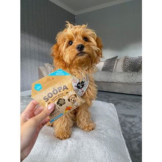 Soopa Pets Soopa Healthy Bites Puppy s banánem a dýní 50 g