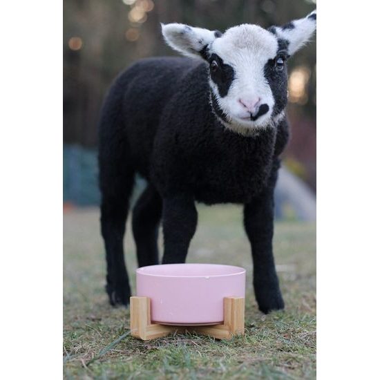 Aminela keramická miska v dřevěném stojanu růžová 750ml