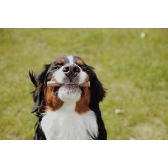 Soopa Pets Dentální tyčinky Soopa s kokosem a chia semínky 100 g