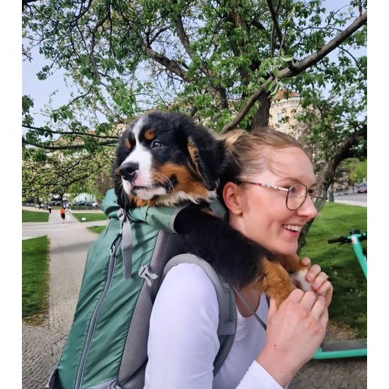 K9 sports sack Kolossus batoh pro psa do 36 kg