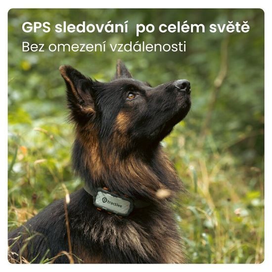 Tractive GPS DOG XL sledování polohy a aktivity pro psy