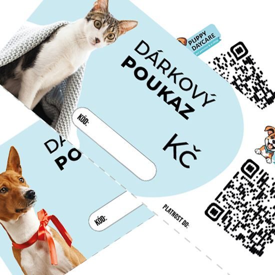 Elektronický dárkový poukaz 2 500 Kč