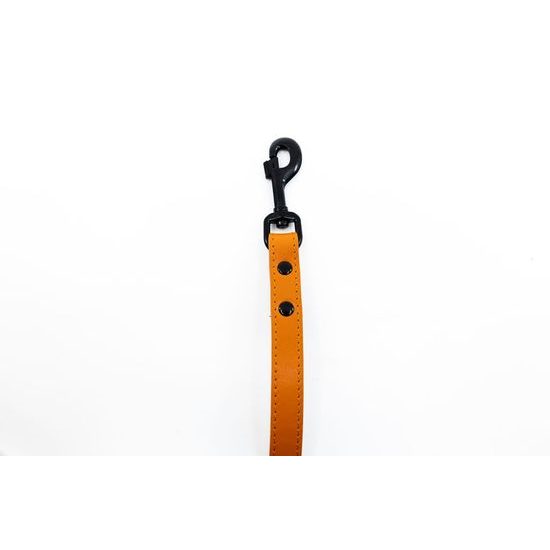 Bafpet Kožené vodítko HERRY černé kování Oranžová