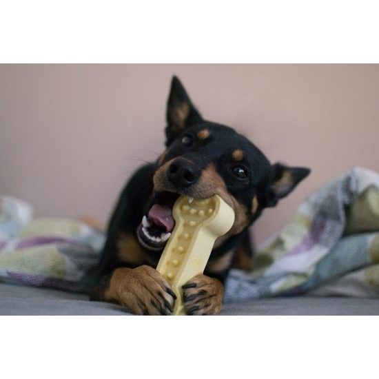 Amarago eco friendly hračka pro psy kost malá žlutá 13cm/70g