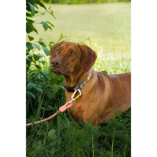 Woolly Wolf Rope Leash