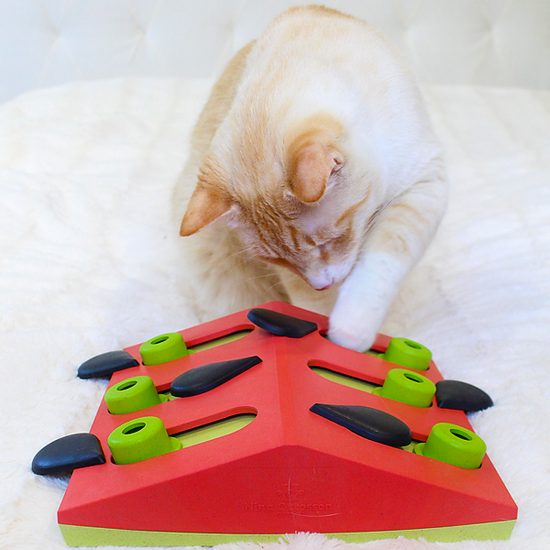 Nina Ottosson Pamlskový hlavolam