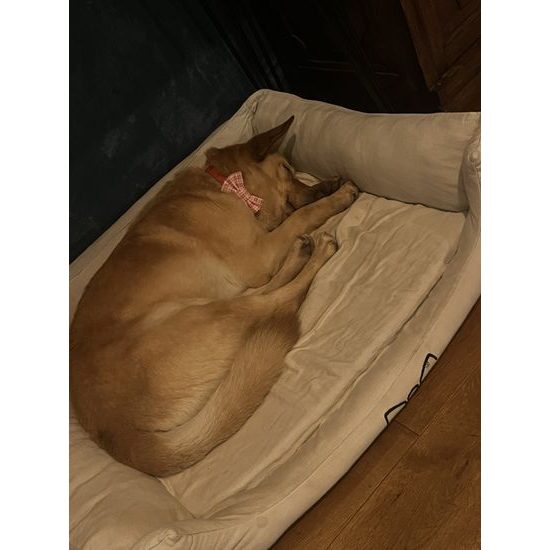 FUNKY DOG Ekologický lněný pelech pro psy