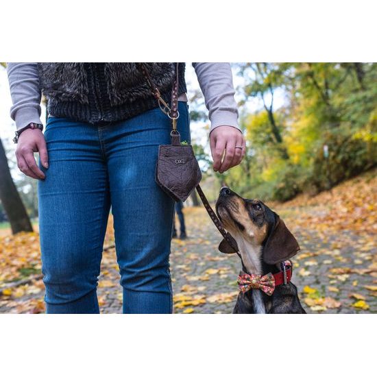 FUNKY DOG Hnědý pamlskovník Piňamka