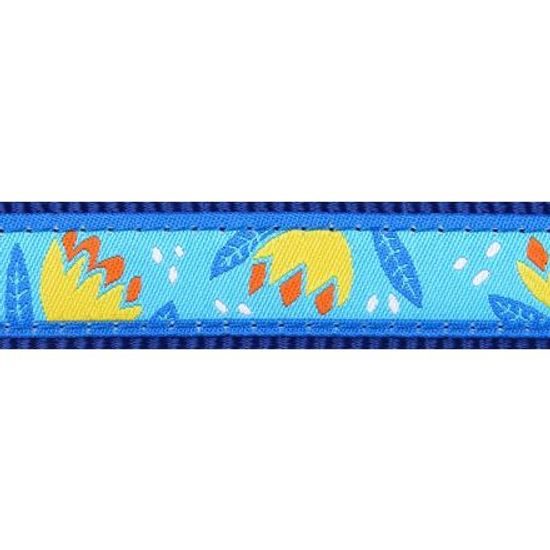 Red Dingo Obojek 2,5cm x 41-63cm