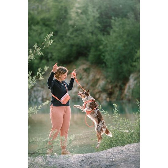 Woolly Wolf Alpha 360 Hip Pack