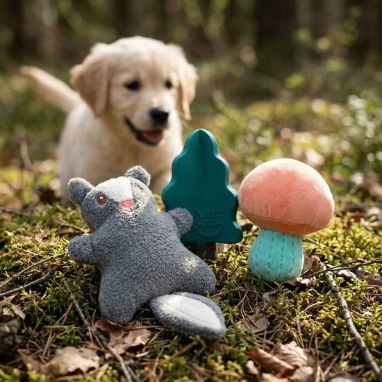 AFP Little Buddy Lesní říše