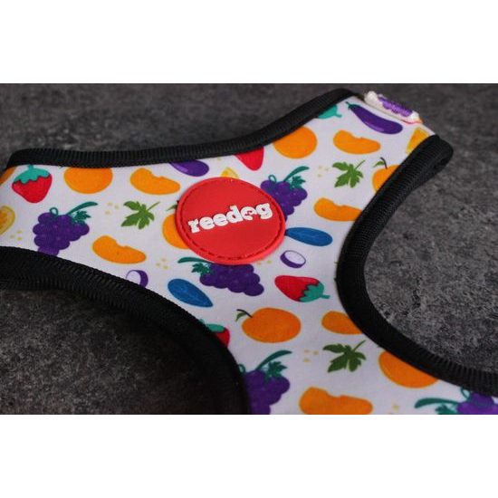 Reedog Kšíry pro psa FRUIT