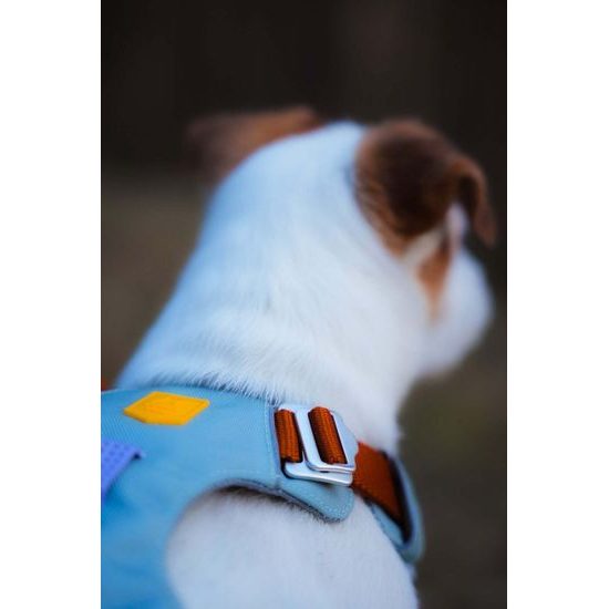 Woolly Wolf Alpha 360 Harness