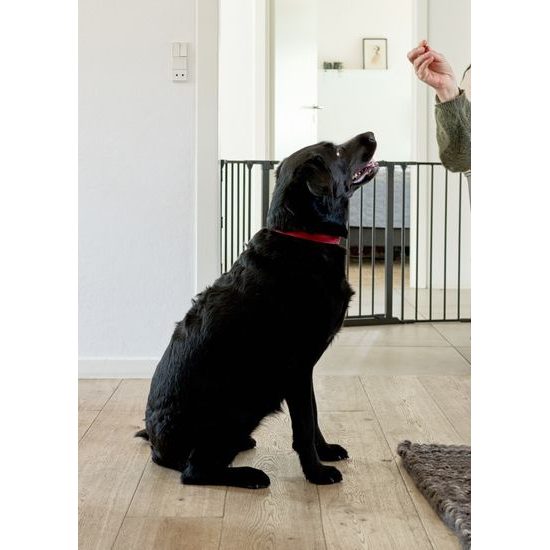 DogSpace Max M prostorová zábrana kovová černá