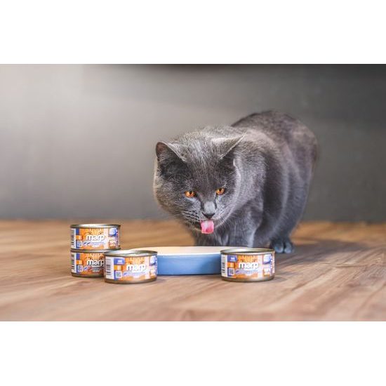 Marp Holistic Plus konzerva pro kočky Tuňákové paté se sardinkami 24x70g