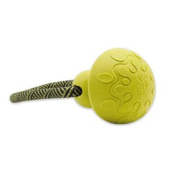 Akinu ČESKÝ LES Houba s provazem hračka pro psy lesní zelená