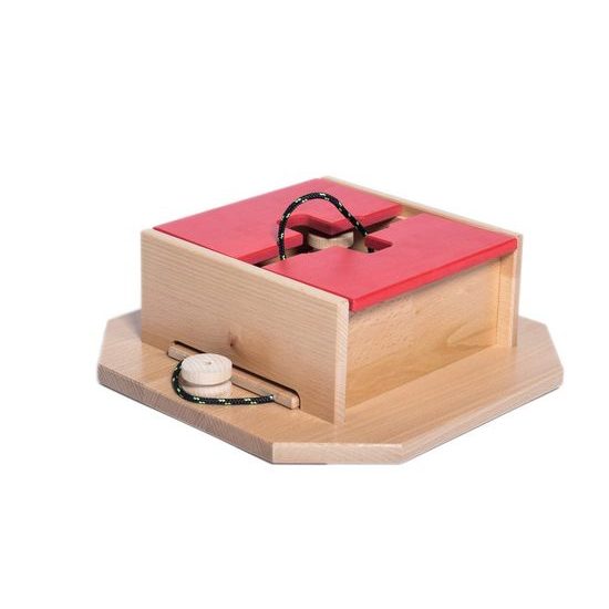 My Intelligent Pets Dřevěný hlavolam Swiss cube