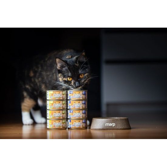 Marp Holistic Plus konzerva pro kočky Kuře s krevetami a brusinkami v želé 24x70g