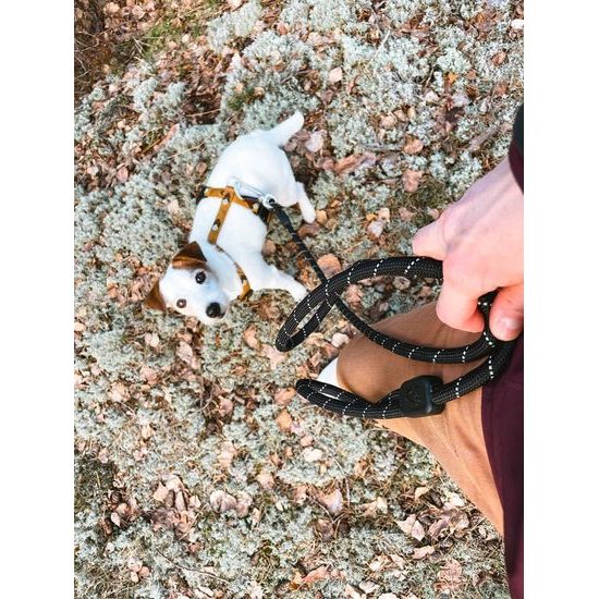 Woolly Wolf Rope Leash