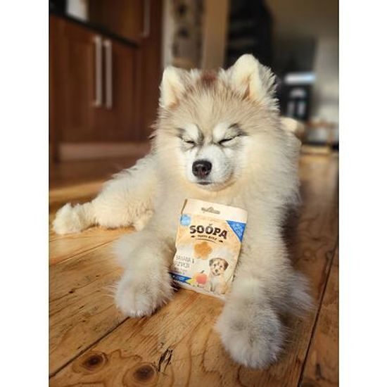 Soopa Pets Soopa Healthy Bites Puppy s banánem a dýní 50 g