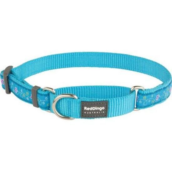 Red Dingo Ob. polos. RD 15 mm x 26-40 cm - Butterfly Turq.