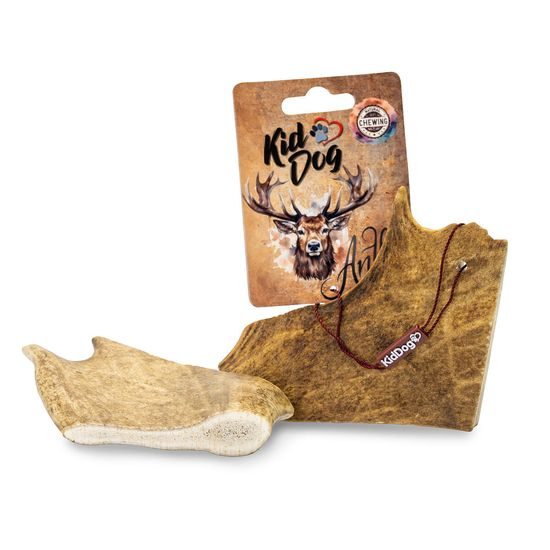 KidDog Antler dančí paroh L